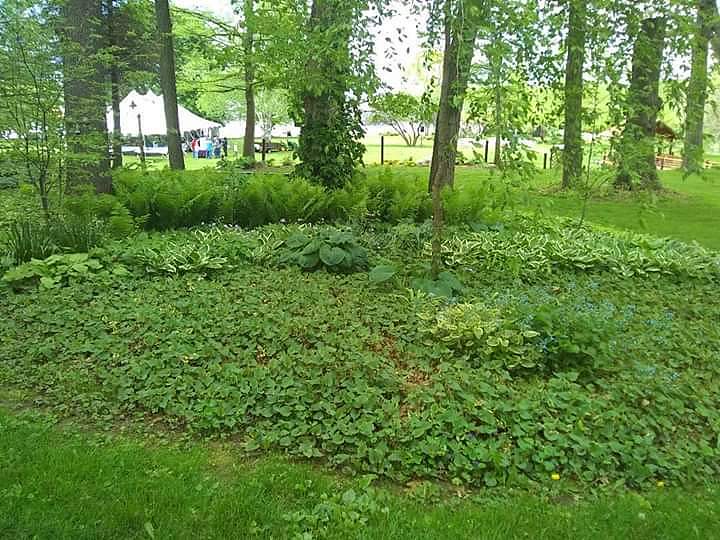 Photo by Ron Burt DJ